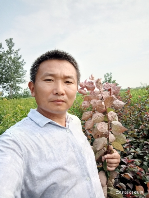 孩子爸的第二张照片--汕头相亲服务中心
