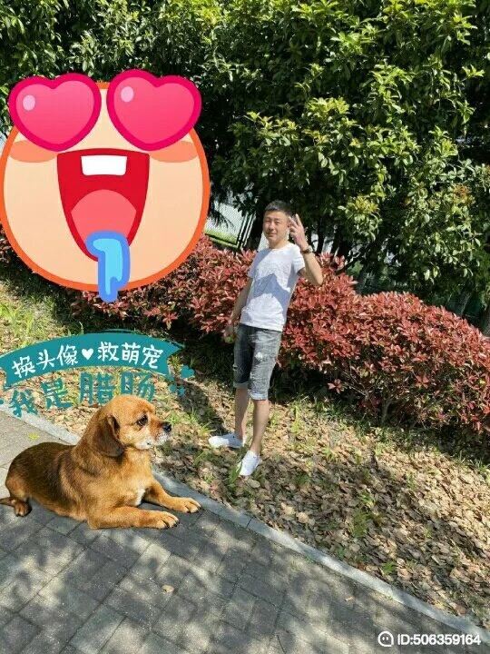 我若不坚强谁替我勇敢的第一张照片--汕头相亲服务中心