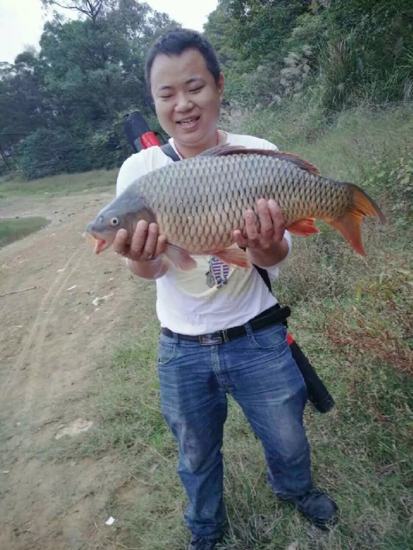 迷路的男人的第一张照片--汕头相亲服务中心